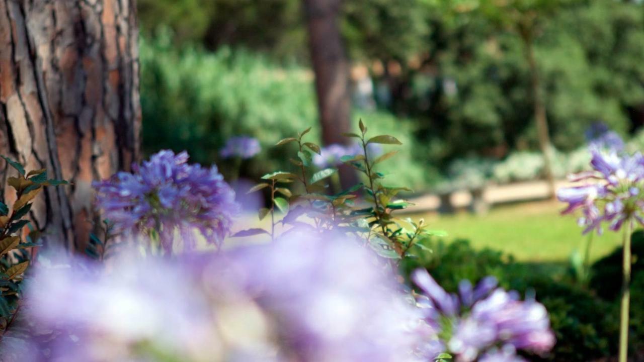 Apartmán Les Pins De L'Escalet Ramatuelle Exteriér fotografie